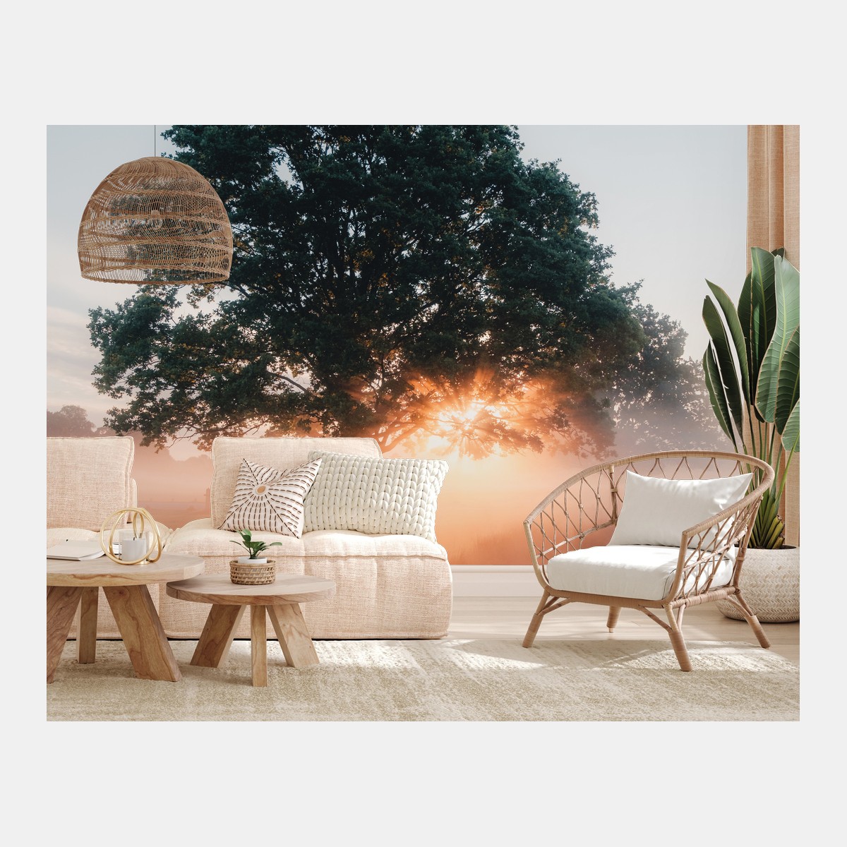 Fotomural árbol al amanecer con reflejo en lago – Pixers®