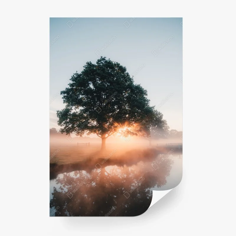 Fotomural árbol al amanecer con reflejo en lago – Pixers®