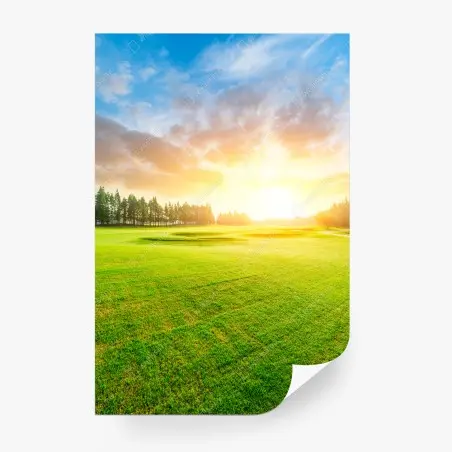 Fotomural puesta de sol sobre campo verde y bosque – Pixers®