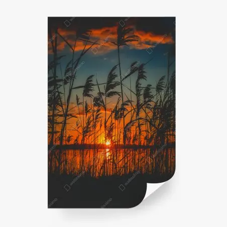 Fotomural atardecer entre juncos en el lago – Pixers®