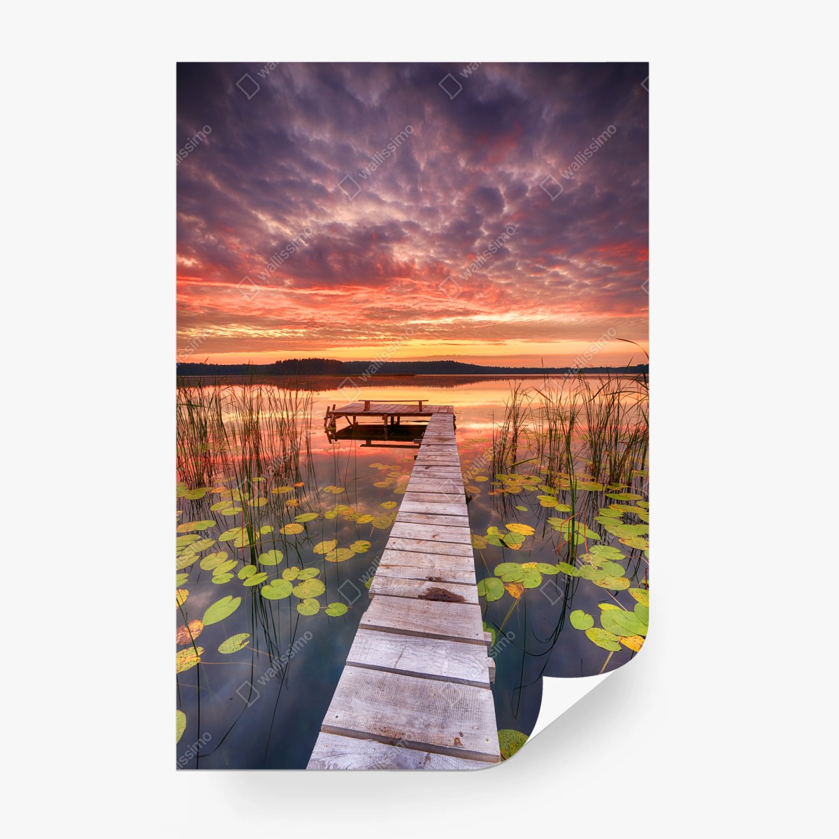 Fotomural amanecer en el muelle del lago – Pixers®