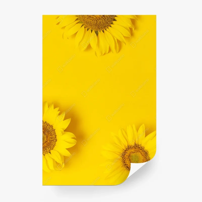 Fotomural girasoles sobre fondo amarillo vibrante