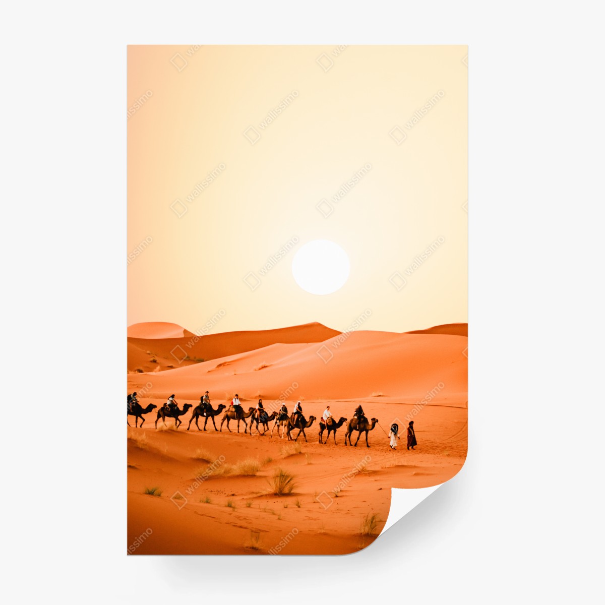 Fotomural caravana de camellos en dunas doradas – Pixers®