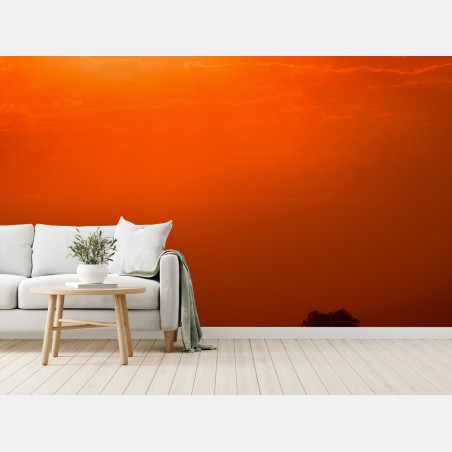 Fotomural atardecer naranja sobre el lago con silueta de bosque – Pixers®