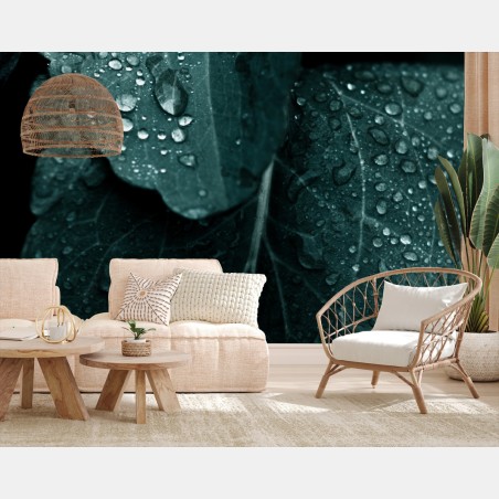 Fotomural hojas con gotas en tonos esmeralda – Pixers®