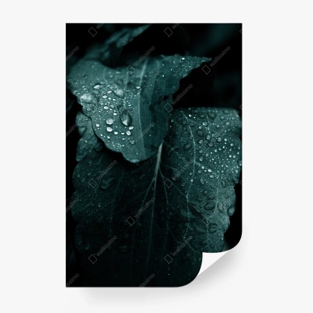 Fotomural hojas con gotas en tonos esmeralda – Pixers®