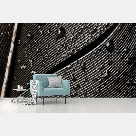 Fotomural textura de pluma en blanco y negro con gotas – Pixers®