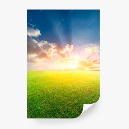 Fotomural atardecer dorado en pradera – Pixers®
