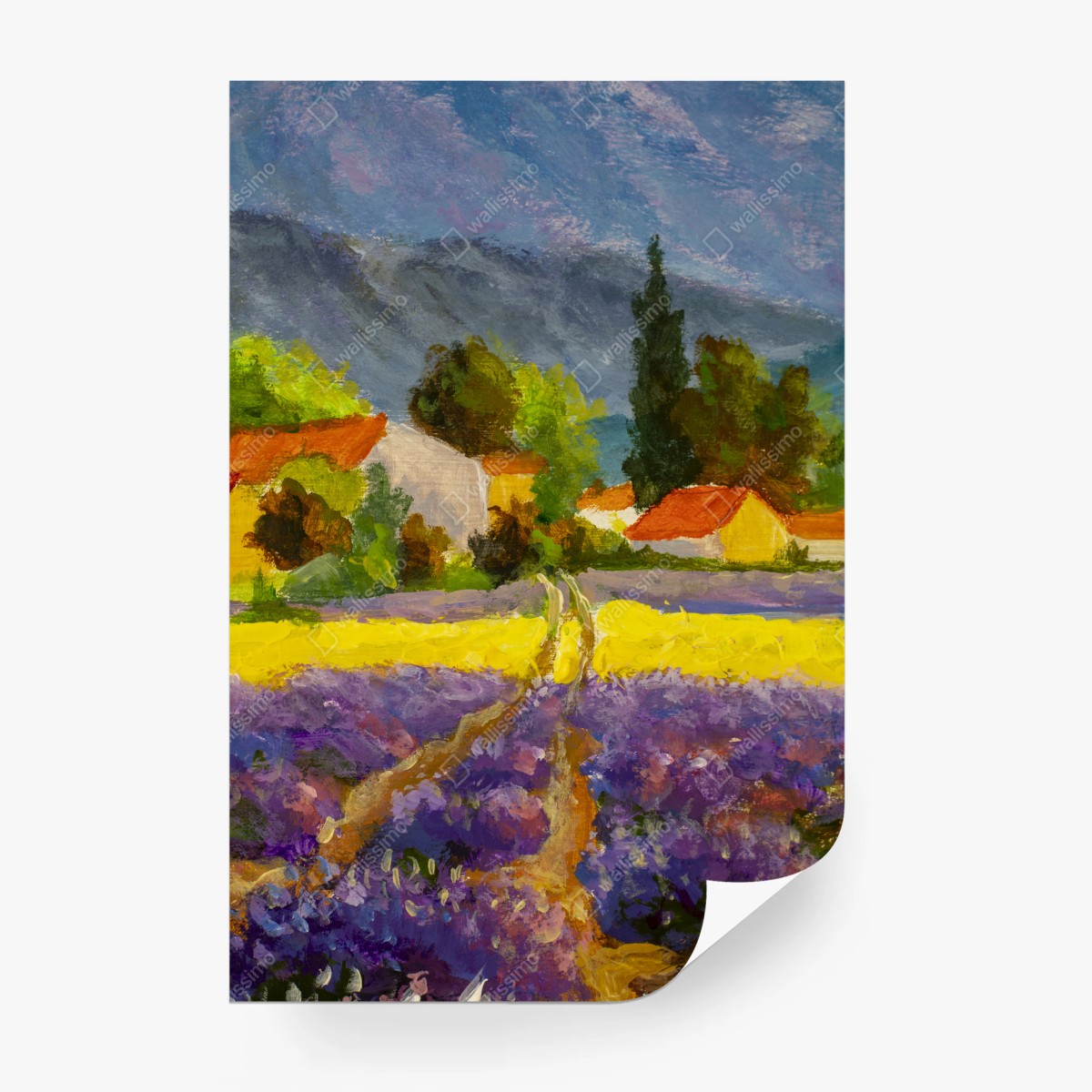 Fotomural atardecer en la campiña de lavanda – Pixers®