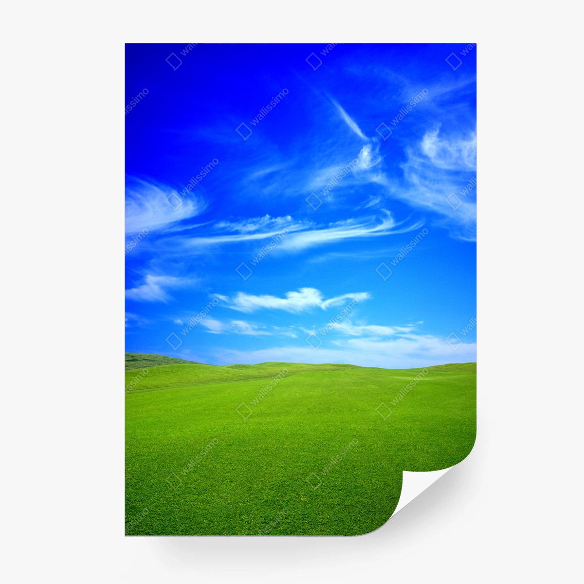 Fotomural paisaje sereno de pradera y cielo azul – Pixers®