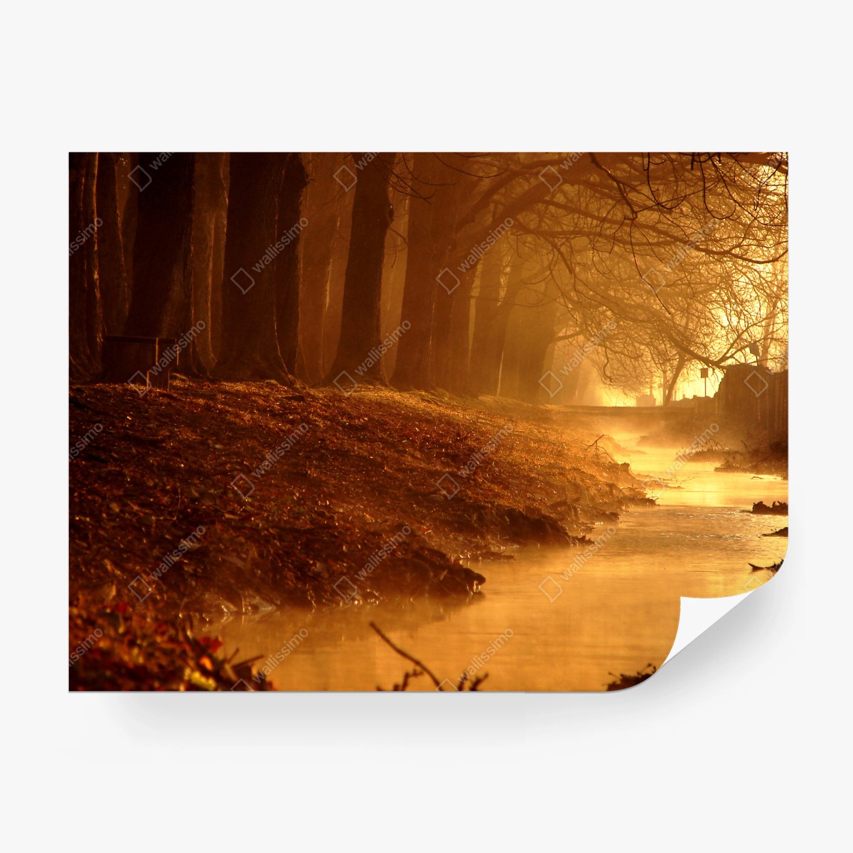 Fotomural amanecer dorado en el arroyo – Pixers®