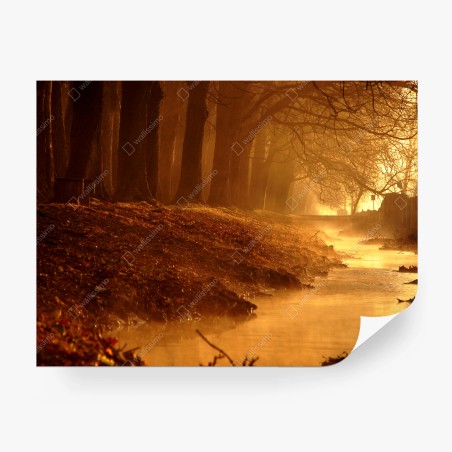 Fotomural amanecer dorado en el arroyo – Pixers®