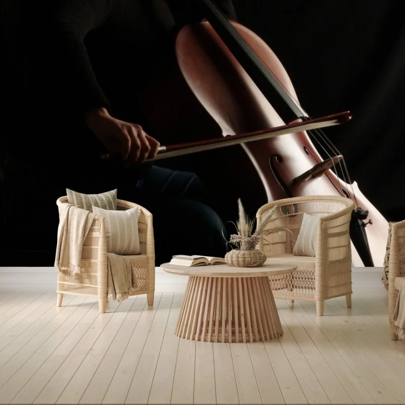 Fotomural violonchelo en penumbra – Pixers®