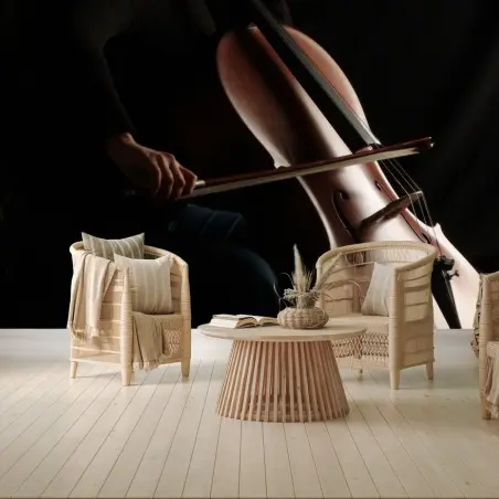 Fotomural violonchelo en penumbra