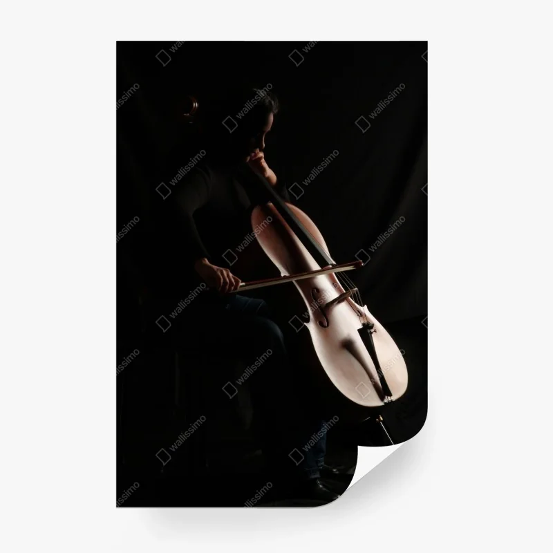 Fotomural violonchelo en penumbra – Pixers®