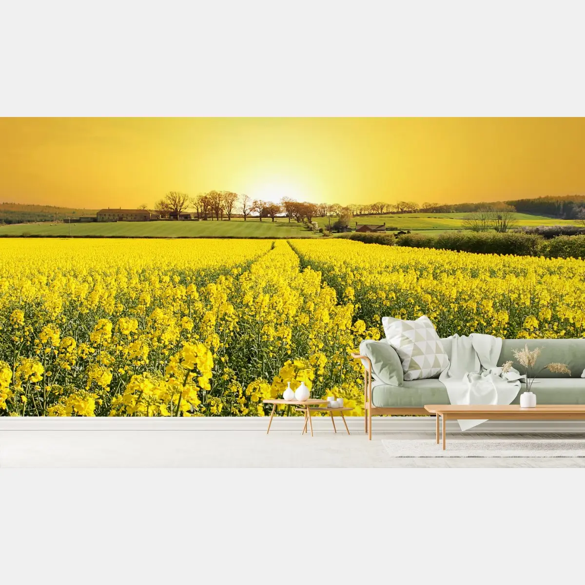 Fotomural amanecer dorado sobre campo de colza – Pixers®