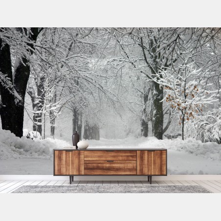Fotomural camino nevado entre árboles – Pixers®