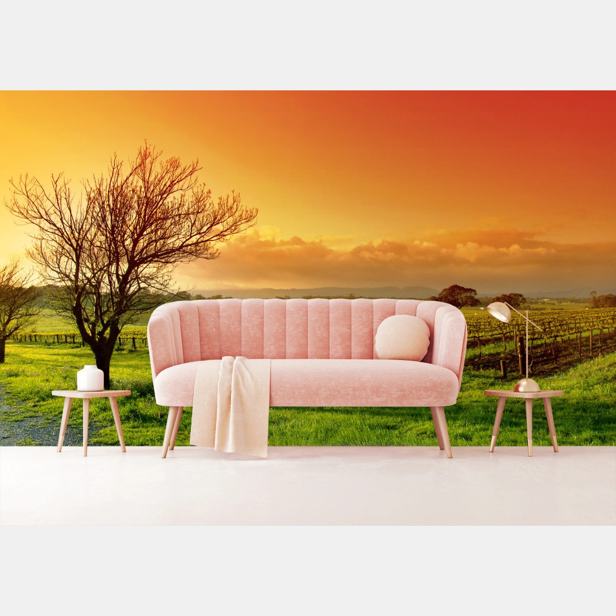 Fotomural amanecer dorado en el viñedo – Pixers®