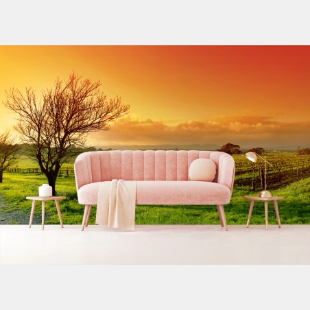 Fotomural amanecer dorado en el viñedo – Pixers®