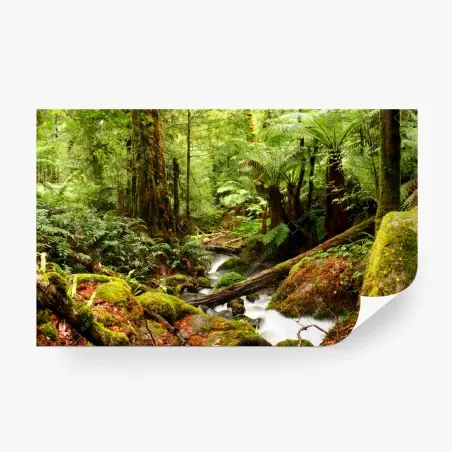 Fotomural bosque esmeralda de Victoria – Pixers®