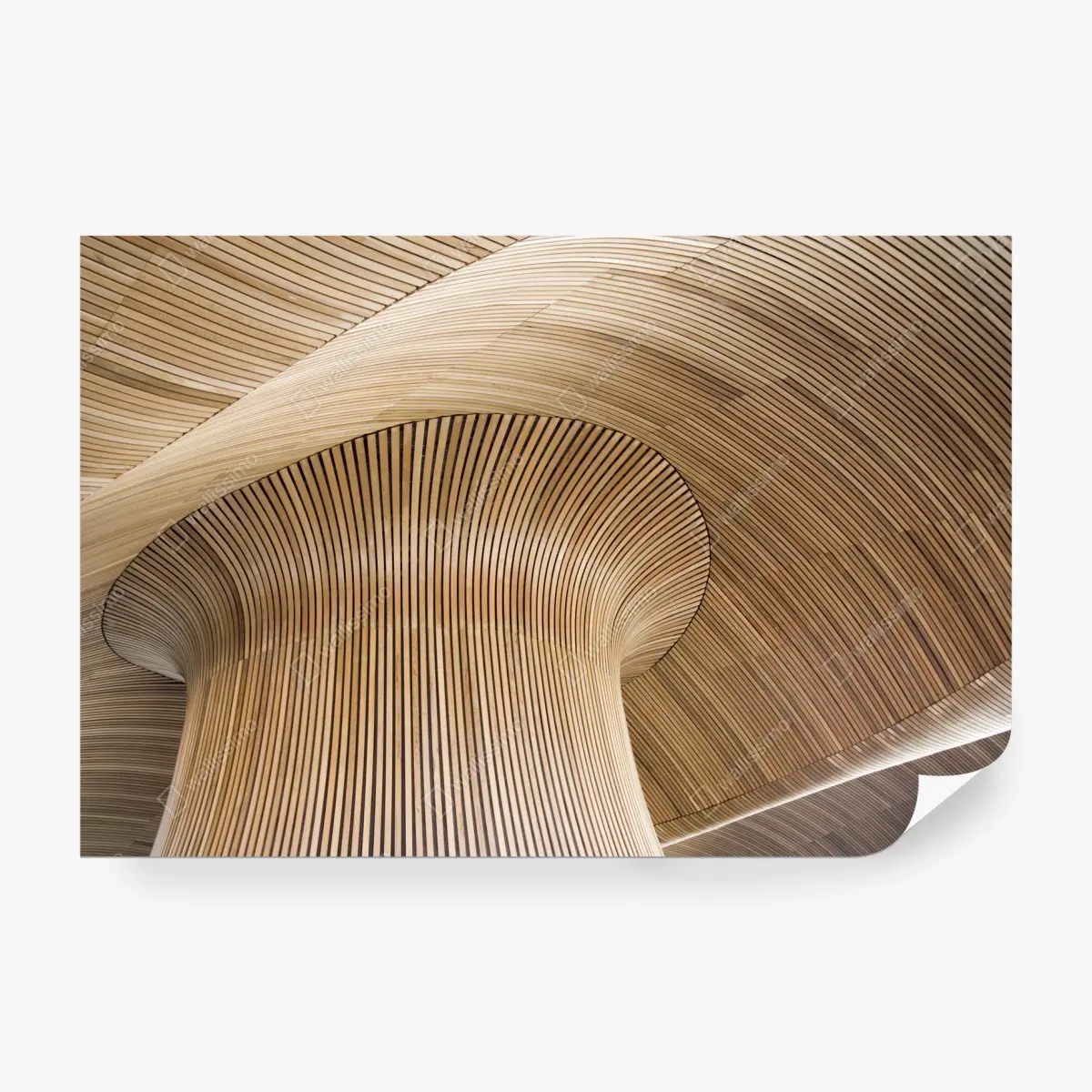 Fotomural techo ondulado de madera inspirado en la playa – Pixers®