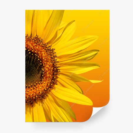 Fotomural girasol en fondo degradado amarillo y naranja – Pixers®