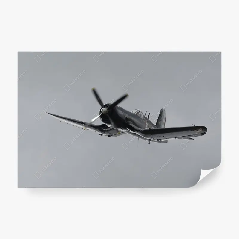 Fotomural avión de combate clásico en vuelo