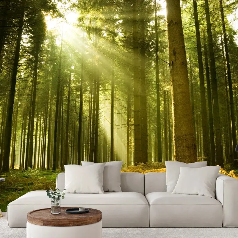 Fotomural rayos de sol en bosque de pinos