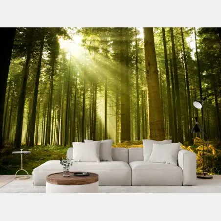 Fotomural rayos de sol en bosque de pinos – Pixers®