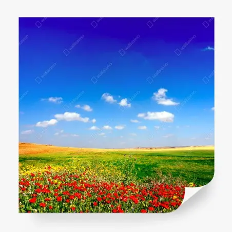 Fotomural pradera de amapolas bajo cielo azul – Pixers®