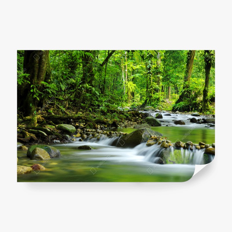 Fotomural refugio verde: río en bosque tropical – Pixers® Fotomural refugio verde: río en bosque tropical – Pixers®