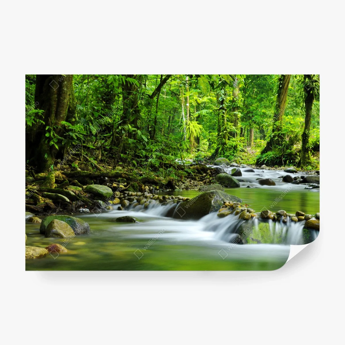Fotomural refugio verde: río en bosque tropical – Pixers® Fotomural refugio verde: río en bosque tropical – Pixers®