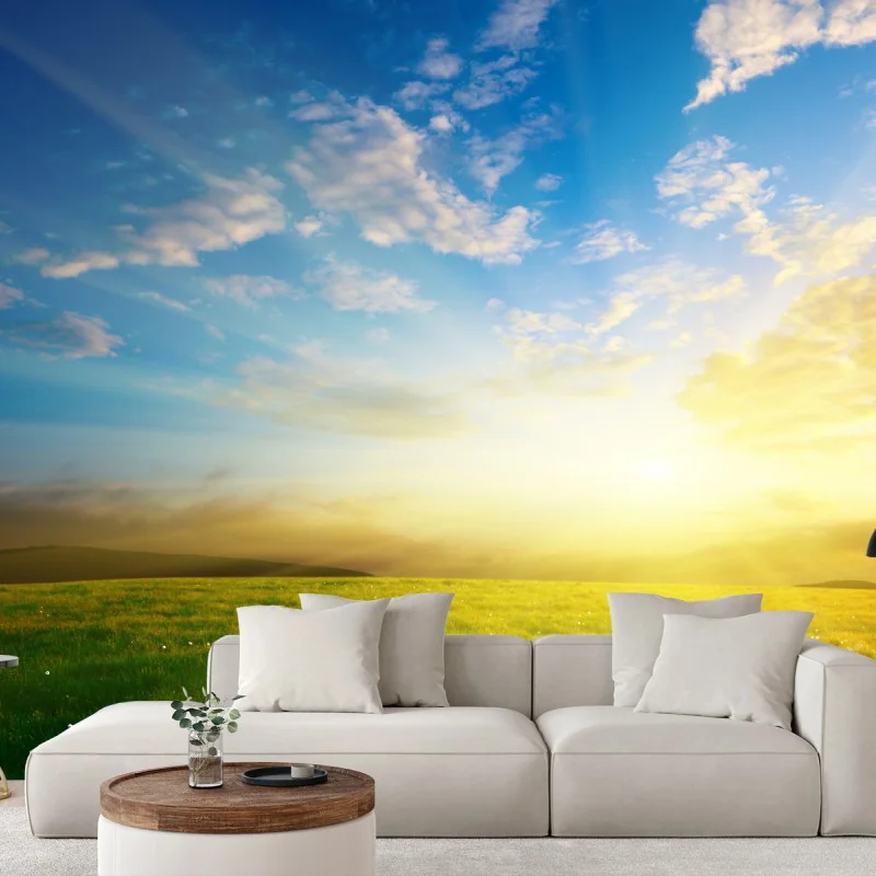 Fotomural puesta de sol dorada en pradera primaveral – Pixers®