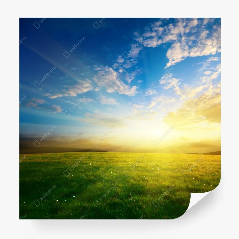 Fotomural puesta de sol dorada en pradera primaveral – Pixers®