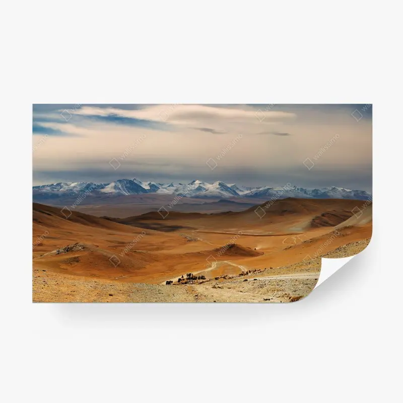 Fotomural ruta nómada en Mongolia occidental