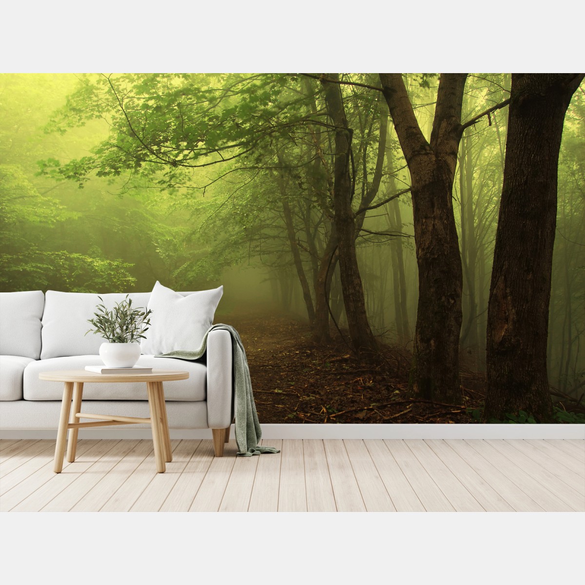 Fotomural sendero en bosque brumoso – Pixers®