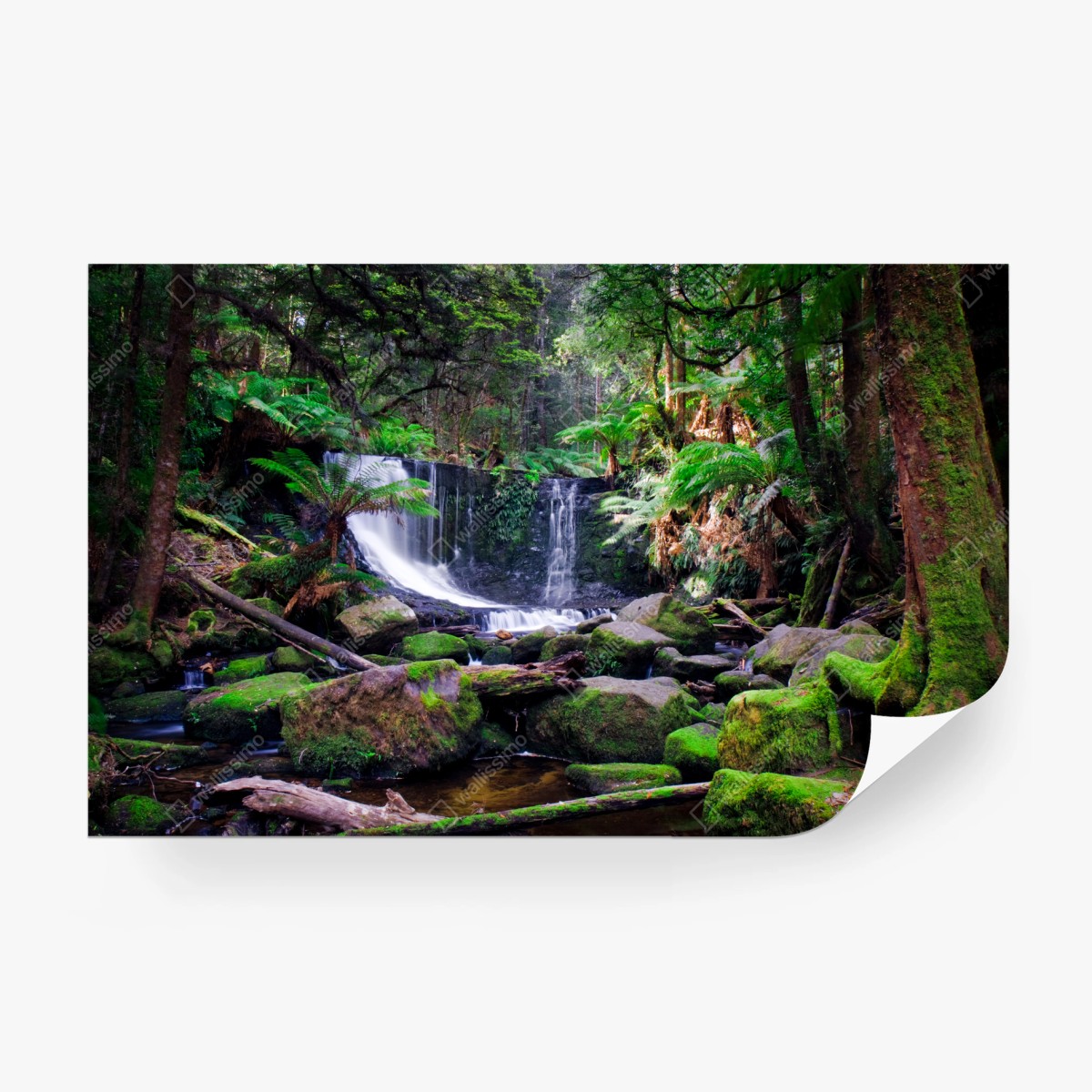 Fotomural cascada del bosque esmeralda – Pixers®