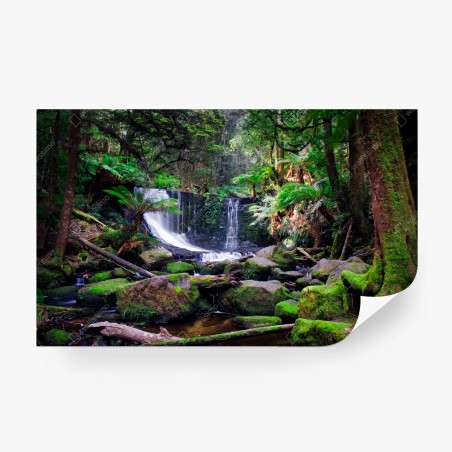 Fotomural cascada del bosque esmeralda – Pixers®
