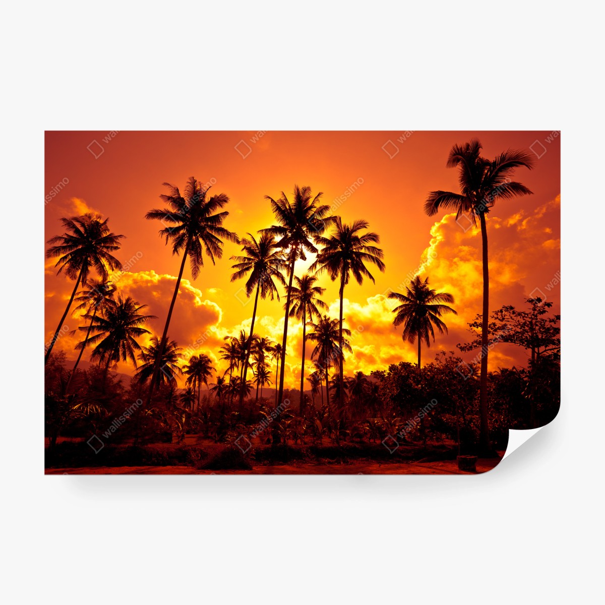 Fotomural atardecer tropical entre palmeras – Pixers®