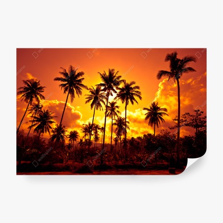 Fotomural atardecer tropical entre palmeras – Pixers®