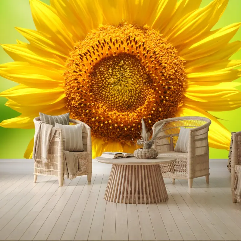 Fotomural girasol luminoso sobre fondo verde