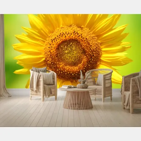 Fotomural girasol luminoso sobre fondo verde – Pixers®