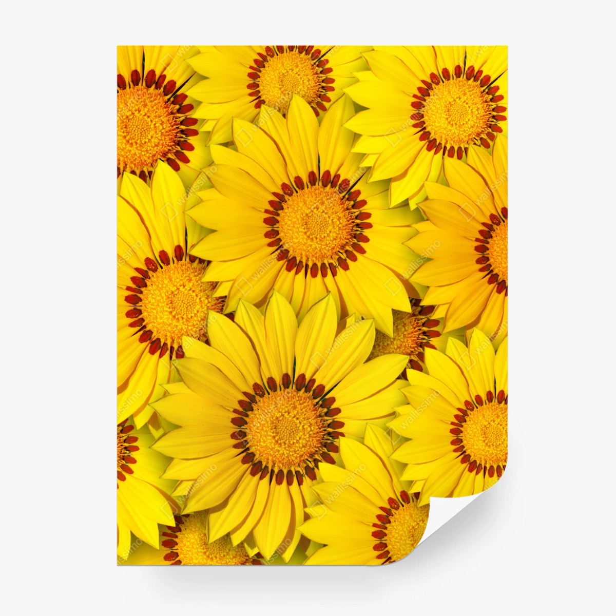 Fotomural mosaico vibrante de flores amarillas – Pixers®