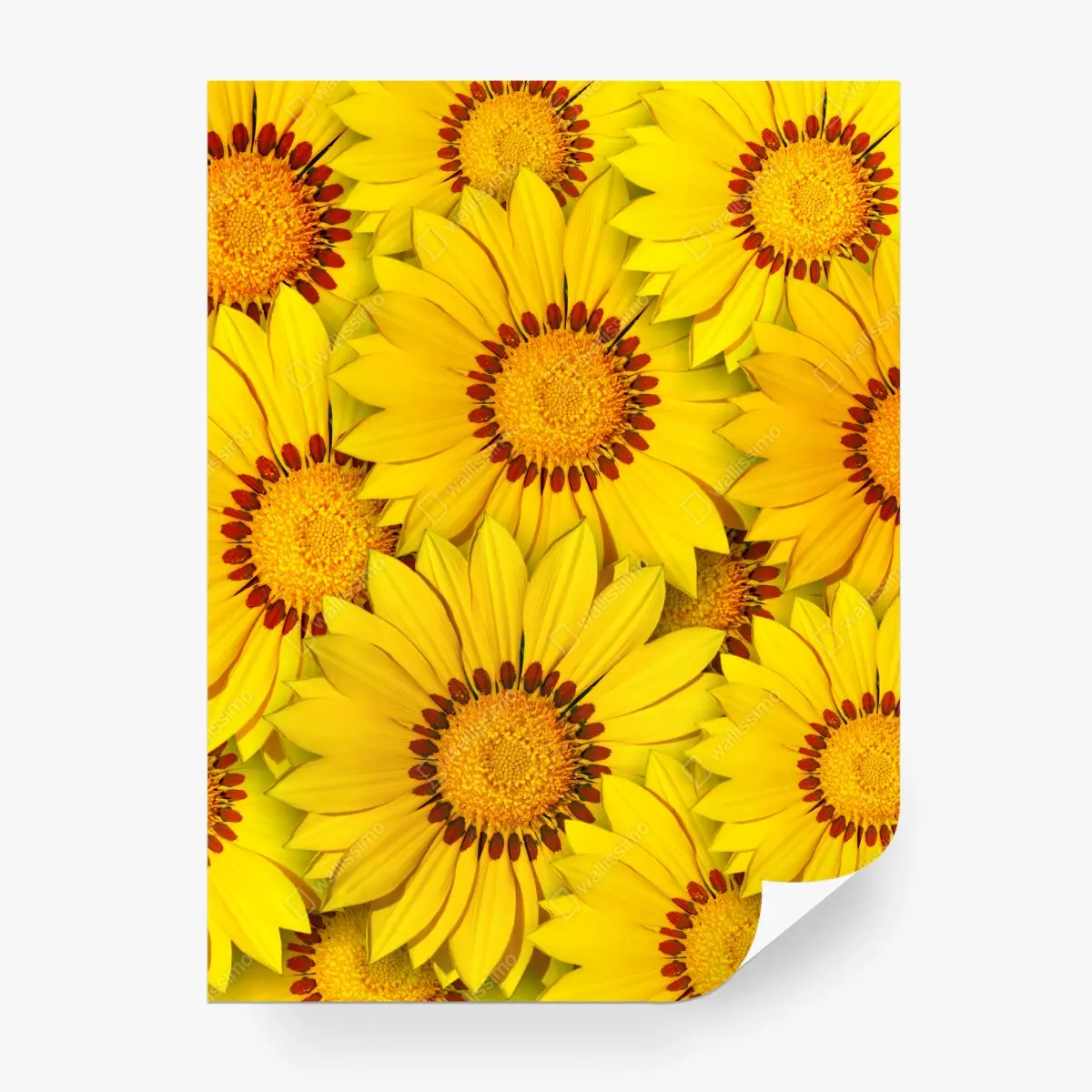 Fotomural mosaico vibrante de flores amarillas – Pixers®