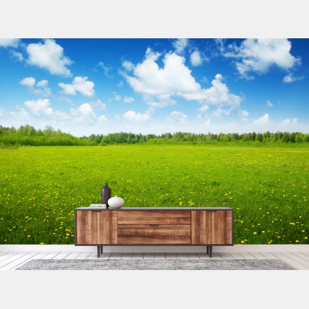 Fotomural pradera primaveral bajo cielo azul – Pixers®
