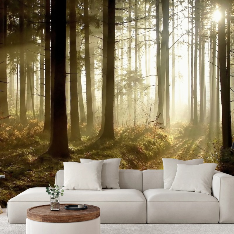Fotomural sendero iluminado en bosque brumoso