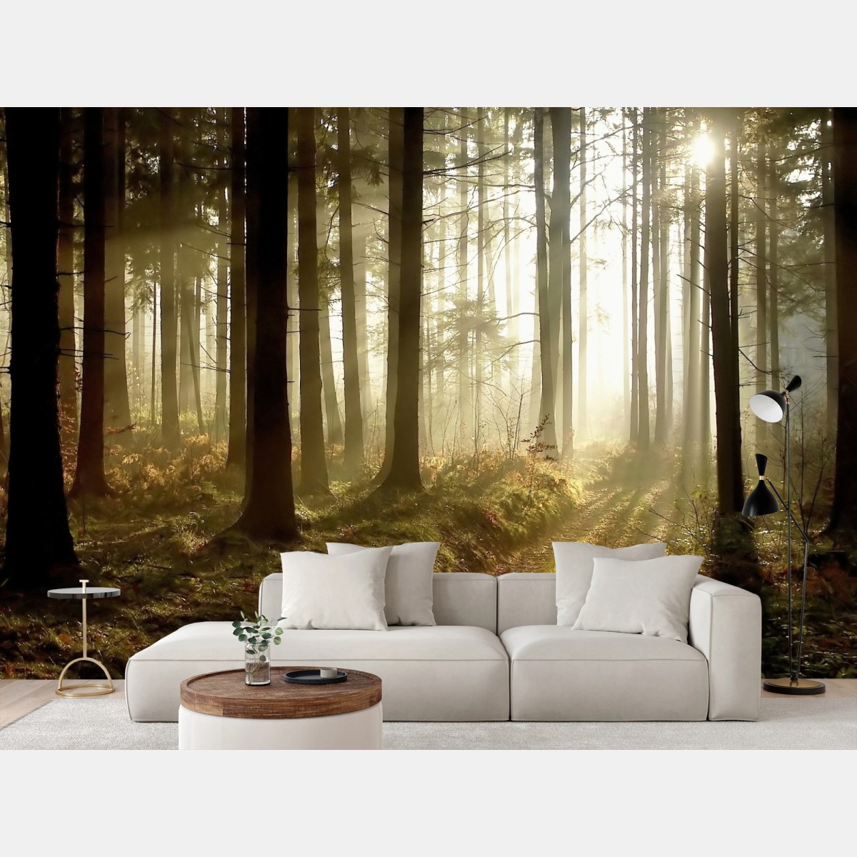 Fotomural sendero iluminado en bosque brumoso – Pixers®