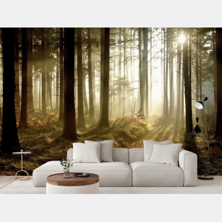 Fotomural sendero iluminado en bosque brumoso – Pixers®