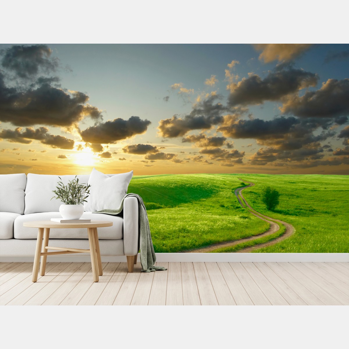 Fotomural camino dorado entre praderas verdes al atardecer – Pixers®