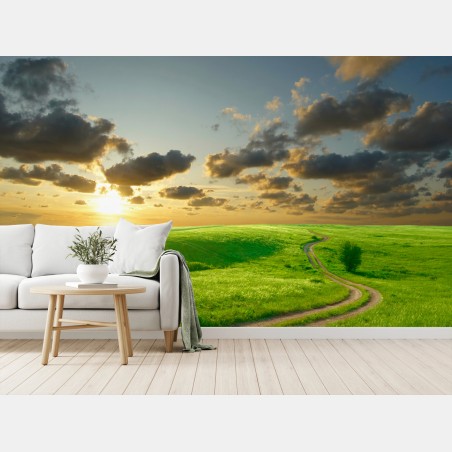 Fotomural camino dorado entre praderas verdes al atardecer – Pixers®